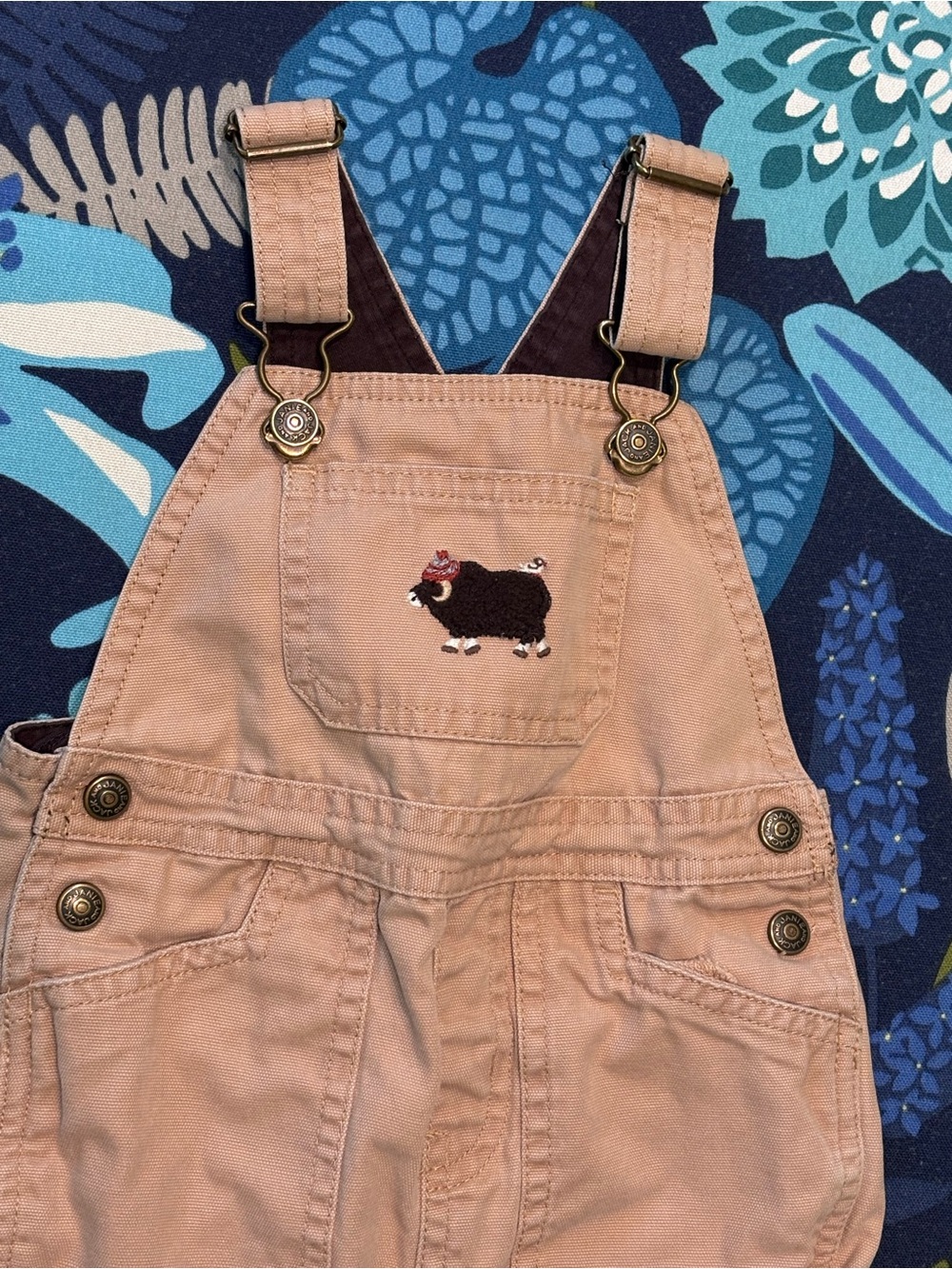 Janie And Jack Overalls